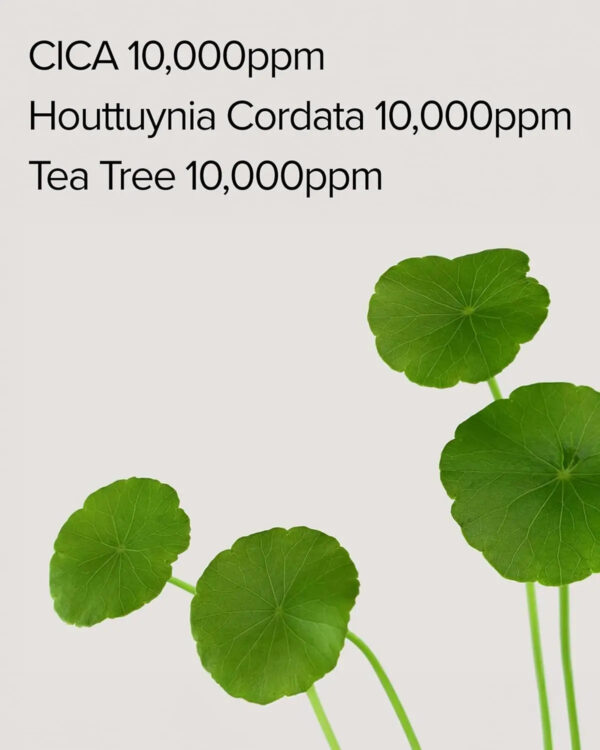 [MARY&MAY] Cica Houttuynia cordata Tea Tree Calming Mask Pack - 30 sheets MARY&MAY