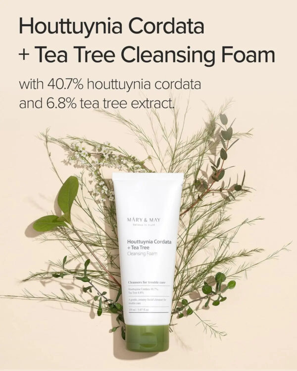 [MARY&MAY] Houttuynia Cordata + Tea Tree Cleansing Foam - 150ml MARY&MAY