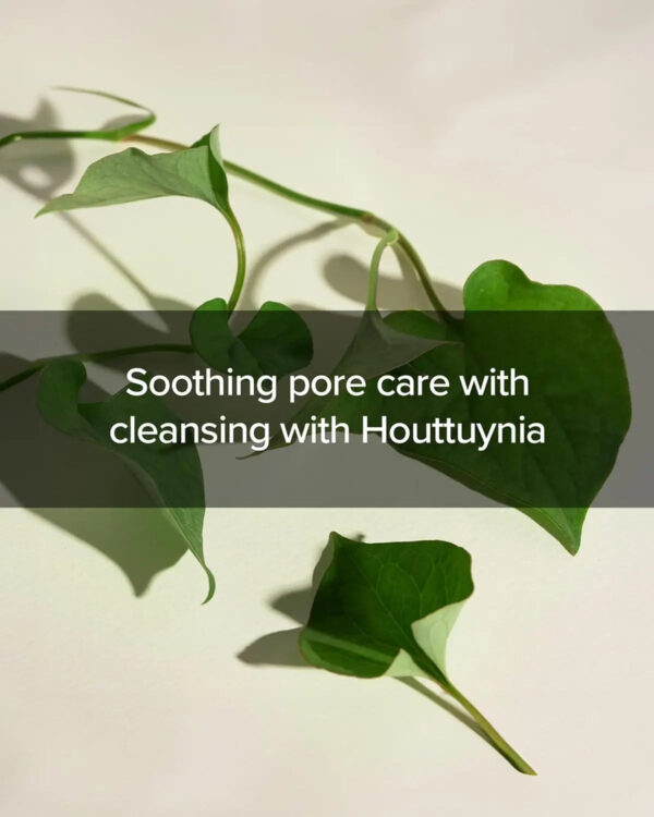 [MARY&MAY] Houttuynia Cordata + Tea Tree Cleansing Foam - 150ml MARY&MAY